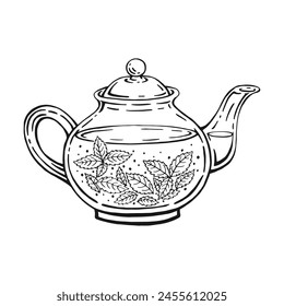 Teapot, mint tea. Hand drawn vector illustration in outline style.