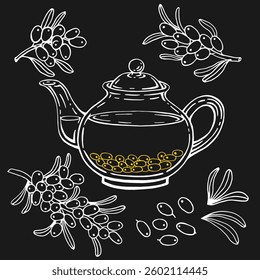 Teapot of tea with healthy tea, sea buckthorn. Hand drawn vector illustration.