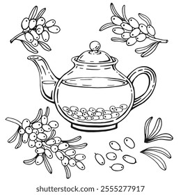 Teapot of tea with sea buckthorn. Hand drawn vector illustration