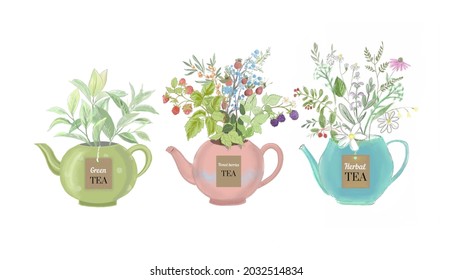 Teapots with herbal tea isolated 