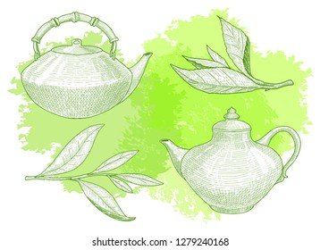 Teapots and tea tree leaf. Hand drawn sketch illustration with tea leaves for label design in retro style. 