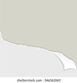 Tear paper background