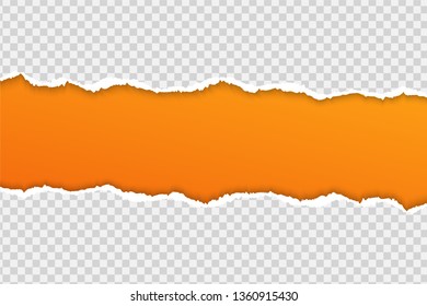 Tear paper or edge On a transparent background.