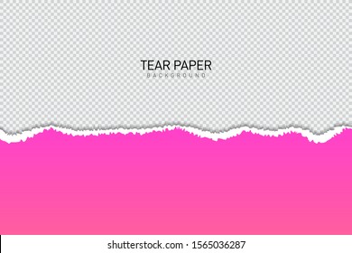 Tear paper or edge On a transparent background. vector illustration