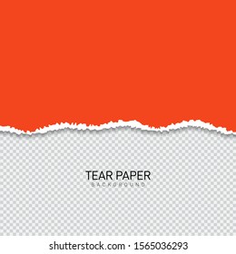 Tear paper or edge On a transparent background. vector illustration