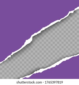 Tear paper frame realistic vector illustration. Blank violet paper on transparent background