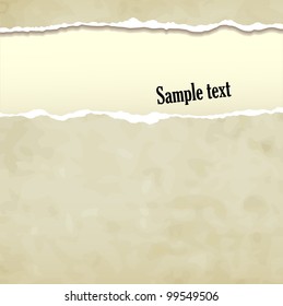 Tear paper on abstract  background