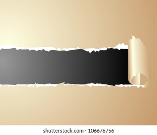 teared papers with place for your own text.