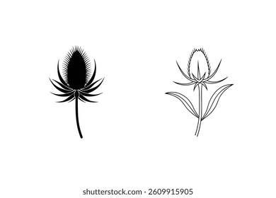 Teasel Vector Silhouette And Line Art Wildflower Illustration