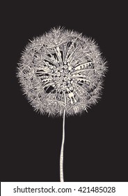 Tech Dandelion.