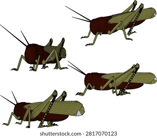 Technical 3D rendering of a wild locust grasshopper character model, displayed in multiple isometric views for game assets and low poly environments