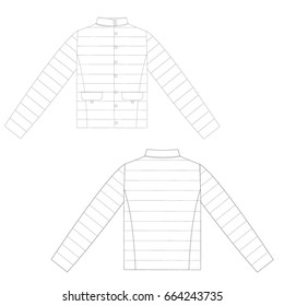 technical drawing vector illustration jacket
