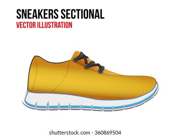 Technical illustration of sport shoes sneakers sectional. Demonstration of the structure of the material. Vector Illustration isolated on white background