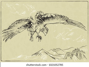 Technical sketch of the bird