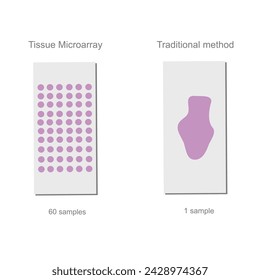 The technique comparison between Traditional method and Tissue microarray (TMA) for target detection in pathology principle.