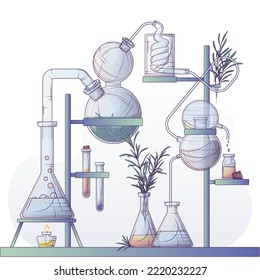Technological production of essential oil and flower water using a steam distillation apparatus. Vector illustration of making perfume in a chemical laboratory. Rosemary leaves.