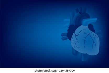 Technology helps to see the structure of the heart