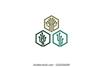 technology tree logo icon vector