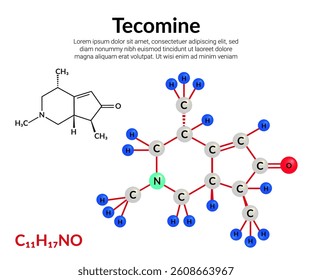 Tecomine, alkaloid, molecular structure formula, ball-and-stick model, suitable for education or chemistry science content. Vector illustration