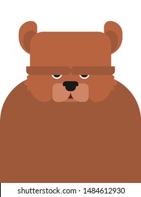 Teddy bear cartoon face isolate. Animal vector illustration