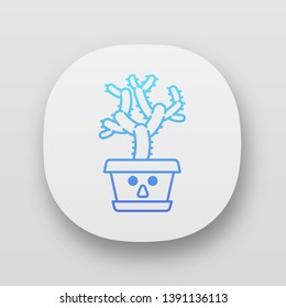 Teddy bear cholla app icon. Cactus with astonished face. Unhappy Cylindropuntia. Home cacti in pot. Tropical plant. UI/UX user interface. Web or mobile applications. Vector isolated illustrations