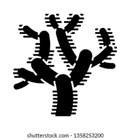 Teddy bear cholla cactus glyph icon. Cylindropuntia. Cylindroid-jointed cacti. America native tropical plant. Silhouette symbol. Negative space. Vector isolated illustration