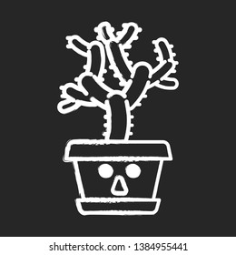 Teddy bear cholla chalk icon. Cactus with astonished face. Unhappy Cylindropuntia. Home cacti in pot. Tropical plant. Succulent plant. Houseplant. Isolated vector chalkboard illustration