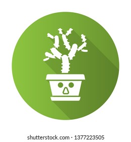Teddy bear cholla flat design long shadow glyph icon. Cactus with astonished face. Unhappy Cylindropuntia. Home cacti in pot. Tropical plant. Succulent houseplant. Vector silhouette illustration