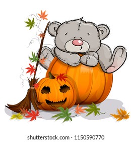 Teddy bear climbed on a huge Halloween pumpkin. White background.