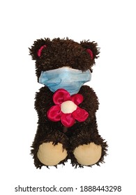 Teddy bear in face mask, protect your beloved