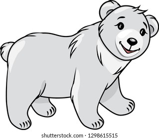 Teddy bear isolated on white. Vector