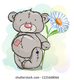 Teddy bear and one white Daisy on a light background