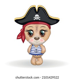 Teddy bear pirate, cartoon character of the game, wild animal in a bandana and a cocked hat with a skull, with an eye patch. Character with bright eyes Isolated on white
