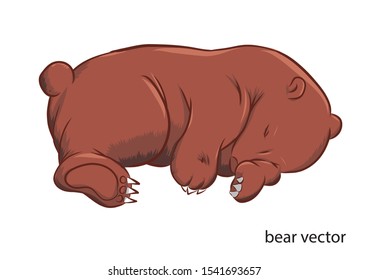 teddy bear sleep vector toon  