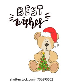 teddy with christmas hat and gift box