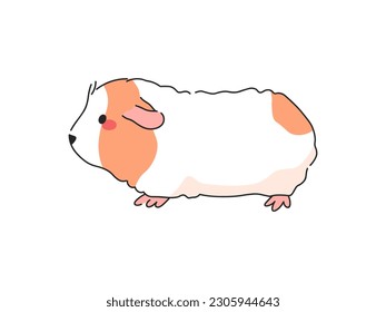 Teddy Guinea Pig Cartoon Vektorgrafik. Einzeln Symbol auf weißem Hintergrund.