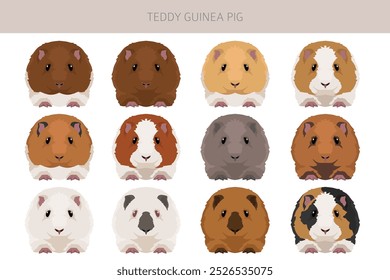 Clipart de conejillo de indias. Conjunto de cuevas de todos los colores de pelaje. Pequeños roedores mascota. Ilustración vectorial