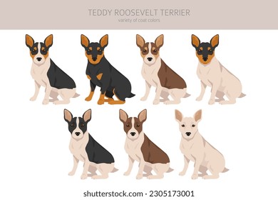 Teddy Roosevelt terrier clipart. Different poses, coat colors set.  Vector illustration