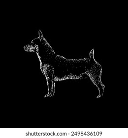 teddy roosevelt terrier hand drawing vector isolated on black background.