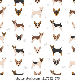 Teddy Roosevelt terrier seamless pattern. Different poses, coat colors set.  Vector illustration