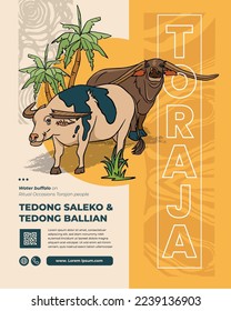 Tedong Saleko and Tedong Ballian, Tana Toraja Water Buffalo Indonesian Culture Handrawn Illustration