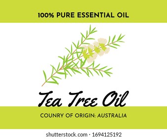 Tee Tree Oil Label Of Plant From Australia. Malaleuca Twig With Flowers And Leaves. Great For Package.  Vector Illustration. 