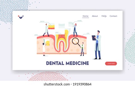 Teeth Anatomy and Structure Landing Page Template. Tiny Dentists Characters at Huge Tooth Infographics with Gum, Pulp, Bone, Dentine or Enamel, Medic Aid Poster. Cartoon People Vector Illustration