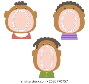 The teeth of a baby, child, and adult at different ages with their mouths wide open.