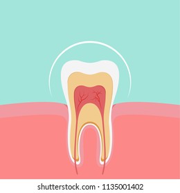 teeth cartoon vector. free space for text. wallpaper. background. 
prevent.