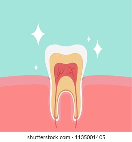 teeth cartoon vector. free space for text. wallpaper. background.