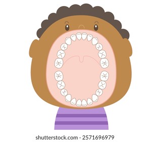 The teeth of a child in the mixed dentition stage with a wide-open mouth.