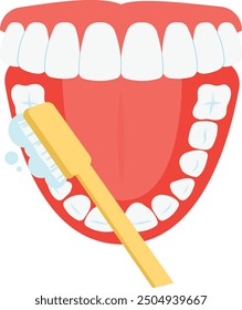 Teeth cleaning top view. Right oral hygiene