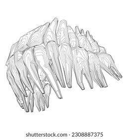 Teeth contour. Hand drawn different types of human tooth collection. Dentist graphic template. Engraving fangs and molars. Dental oral care. Toothache treatment. Vector stomatology set.