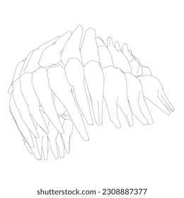 Contorno de dientes. La mano dibujó diferentes tipos de colección de dientes humanos. Plantilla gráfica dentista. Grasando colmillos y colmillos. Atención dental oral. Tratamiento de dolor de dientes. Equipo de estomatología vectorial.